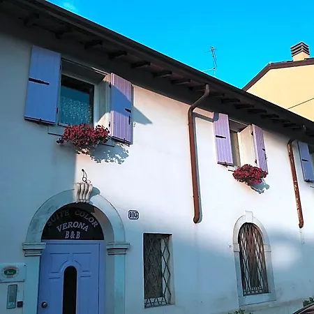 Frühstückspension Kedimore - Suite Color House 4*